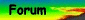 logoforum4it